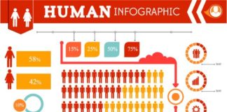 Business infographic : The Super Premium Infographics Bundle for a smooth communication – Only $19