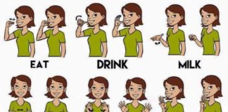 Educational infographic :