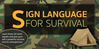 Educational infographic : Educational infographic : Educational infographic : Educational infographic : Educational infographic : Si…