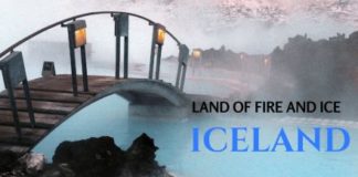 Educational infographic : Say Hello in 50 Different Languages- Infographic | Pundit Cafe