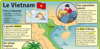 Educational infographic : Educational infographic : Fiche exposés : Le Vietnam…