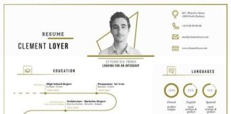 Business infographic : 22 idées de CV créatifs