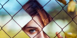 Business infographic : Digital Macro Photography