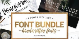 Business infographic : Handwritten Font bundle by Skyla Design on Creative Market | A gorgeous handwrit…