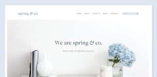 Business infographic : Introducing Spring & Co
