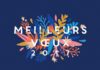 Business infographic : Meilleurs voeux 2017- carte virtuelle disponible sur www.dromadaire.co…