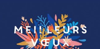 Business infographic : Meilleurs voeux 2017- carte virtuelle disponible sur www.dromadaire.co…