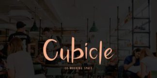 Business infographic : Picnic Time