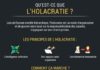 Business infographic : Psychology : Infographie : Qu’est-ce que l’Holacratie