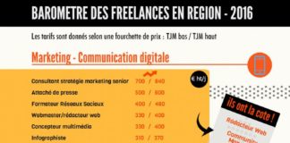 Business infographic : Retrouvez les taux journaliers moyens des freelances et consultants en région e…