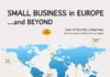 Business infographic : Small Business in Europe and Beyond #albertobokos