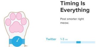 Business infographic : Social Media Tips That Are Actually Useful