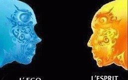 Educational infographic : 16055_380186315401060_319654182_n