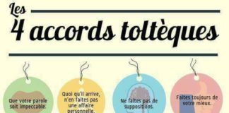 Educational infographic : 31 DECEMBRE – à bientôt….en FEVRIER – PASSION POTAGER… suite….