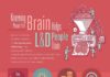 Educational infographic : Boost Your Training with the Neuroscience of Education Infographic