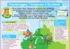 Educational infographic : Charlemagne, l’empereur d’Occident