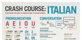 Educational infographic : Crash Course: Italian