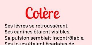 Educational infographic : Des centaines de phrases pour exprimer les émotions de vos personnages