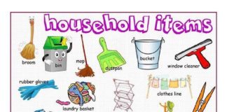 Educational infographic : Educational infographic : English