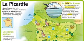 Educational infographic : Educational infographic : Fiche exposés : La Picardie…