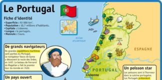 Educational infographic : Educational infographic : Fiche exposés : Le Portugal…