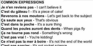 Educational infographic : Educational infographic : LANGUE – #francaise #Langue