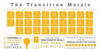 Educational infographic : ‘Element Infographics: The Transition Metals’ Poster by Compound Interest