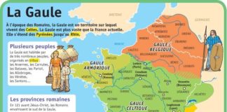 Educational infographic : Fiche exposés : La Gaule …