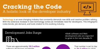 Educational infographic : Hiring a Developer? Read This First (Infographic)