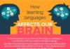Educational infographic : How Learning Languages Affects Our Brain Infographic