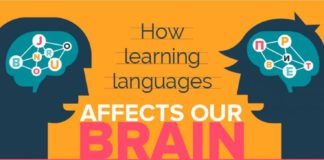 Educational infographic : How Learning Languages Affects Our Brain Infographic