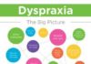 Educational infographic : How to Deal With Dyspraxia Infographic