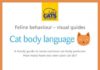 Educational infographic : How to Decode Cat Language Because There’s a Reason Fluffy’s Eyes Are So Wide P…
