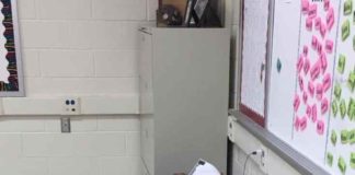 Educational infographic : How to get a Big “YES!” for Student-Centered Learning #''infographic…