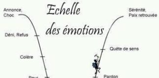 Educational infographic : Influences et Manipulations – Robert Cialdini – Partie 1