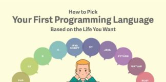 Educational infographic : Infographic: How to Choose Your First Programming Language (Based on the Life You Want) – Life Hacks Money