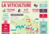 Educational infographic : L'agriculture, l'agroalimentaire et la forêt en infographies.