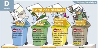 Educational infographic : Le tri des déchets