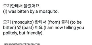 Educational infographic : Learn Korean : bitten by mosquito