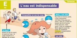Educational infographic : L’eau est indispensable