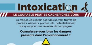 Educational infographic : Les cas d’empoisonnements de chiens et de chats sont malheureusement fréquent…