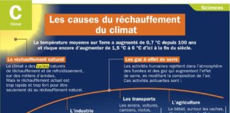 Educational infographic : Les causes du réchauffement du climat