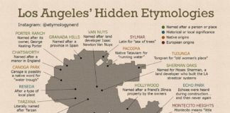 Educational infographic : Los Angeles Public Library on Instagram: “High school student Adam Aleksic cre…