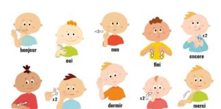 Educational infographic : Mes premiers signes avec bébé