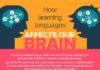 Educational infographic : National Foreign Language Week: The Best Resources for Schools
