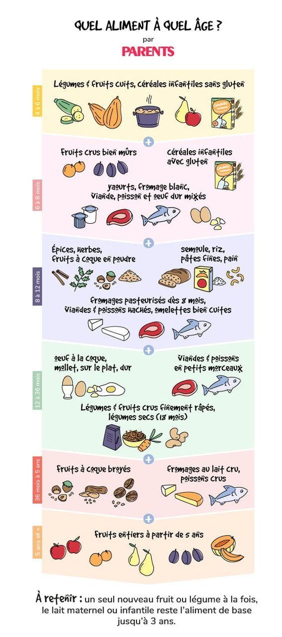 Educational Infographic Nutrition Et Alimentation Des Bebes Quel Aliment A Quel Age Infographicnow Com Your Number One Source For Daily Infographics Visual Creativity