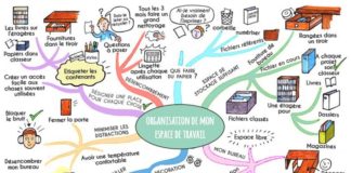 Educational infographic : Organiser son esprit avec le Mind Mapping