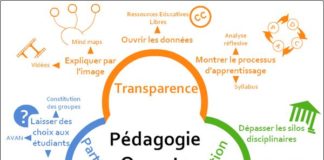 Educational infographic : Pourquoi je n’enseigne pas comme j’apprends ?