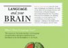 Educational infographic : Que se passe-t-il dans votre cerveau quand vous apprenez une langue ? [INFOGRAPH…