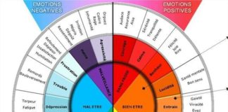 Educational infographic : Roue #foreignlanguagesquotes #fremdsprachenspiele